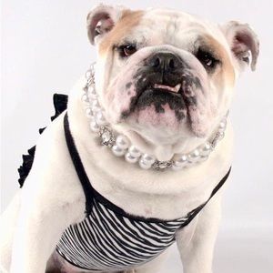 Meet your Posher, Cheryl